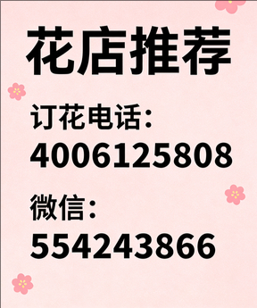 洛阳老城区花店哪家好