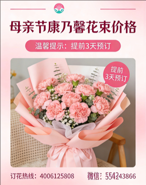 洛阳老城区花店母亲节康乃馨花束