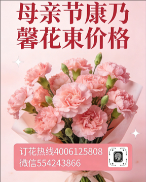 洛阳老城区花店母亲节康乃馨花束